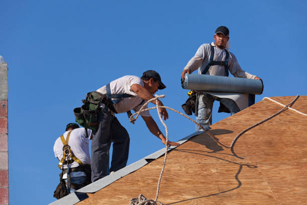 Best Flat Roof Repair Services  in Ettrick, VA