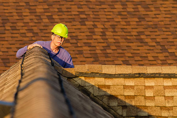 Roof Repair Estimates in Ettrick, VA